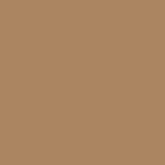 Crayon & Gel ColorStay Brow Fantasy™